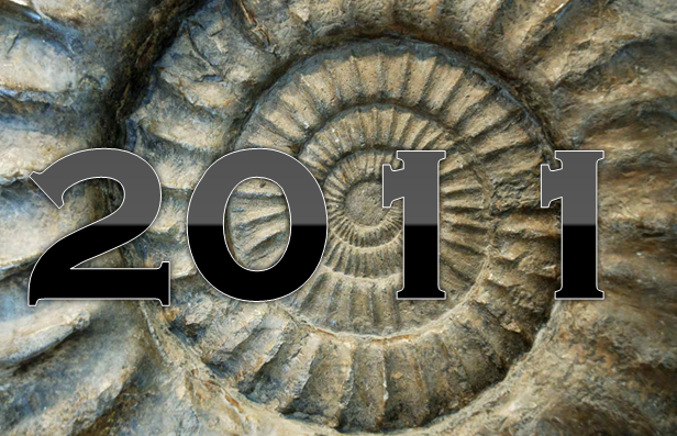 2011 tough year