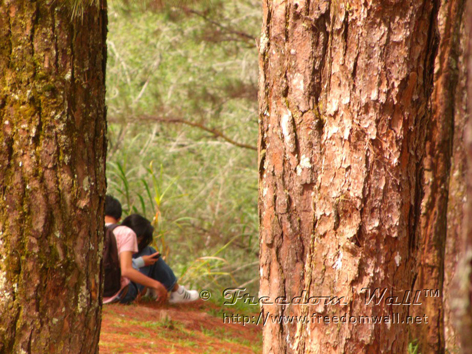 GE X500 Sample Photos | Freedom Wall