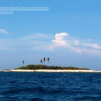 snake or culebra island dasol