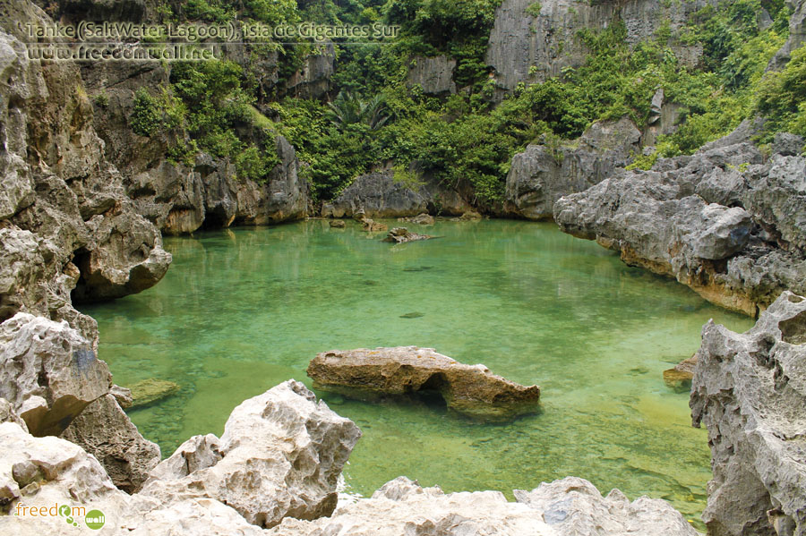 isla de gigantes sur saltwater lagoon (tanke)