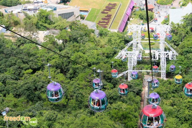 Cable Cars