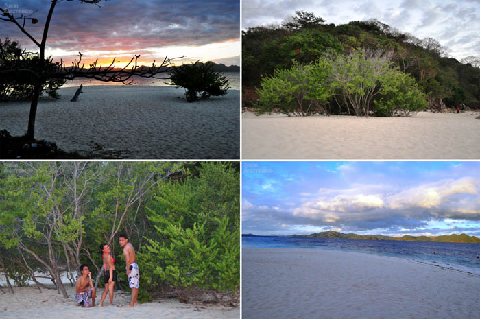 Around the Banana Island