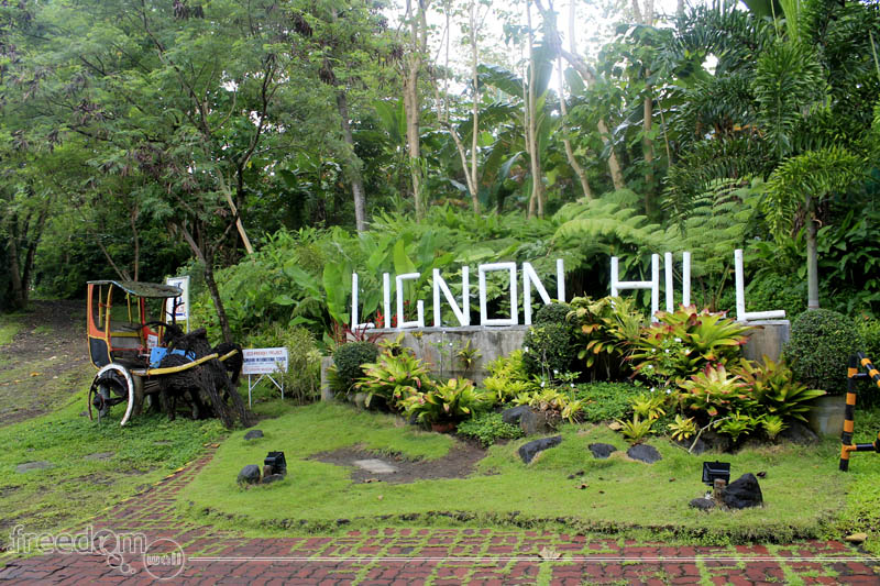Lignon Hill