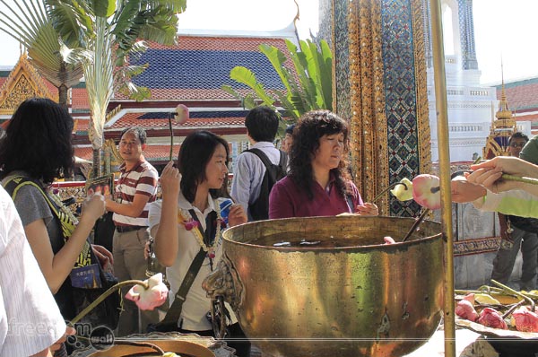 Lotus flower in Holy Water outside the Monastery of the Emerald Buddha