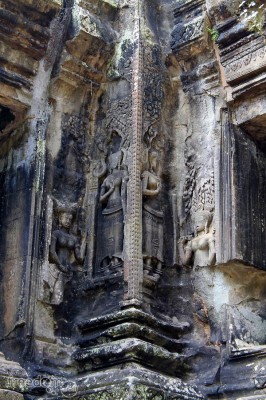 thommanon female devata carvings