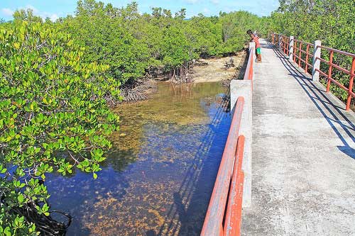 Alibijaban Bridge connecting the communities in the island