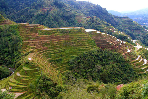 Banaue Rice Terraces