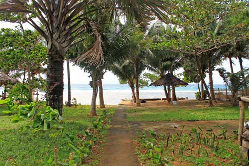 tori's backpackers paradise beach