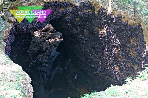 Monfort Bat Cave