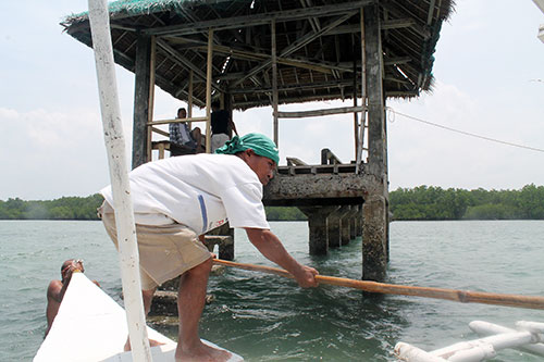 Travel Guide Dolphin Watching Manjuyod Sandbar And Talabong Mangrove Forest Freedom Wall