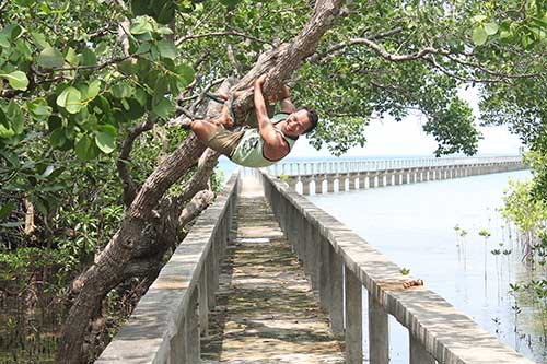 Ian Limpangog at Talabong Mangrove Forest and Bird Sanctuary, Bais City