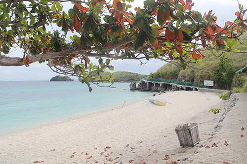 Pebbly Beach of Sambawan Island