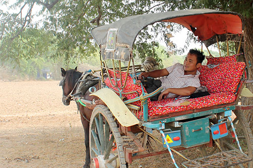 My Guide, Tuton, resting while on the wait