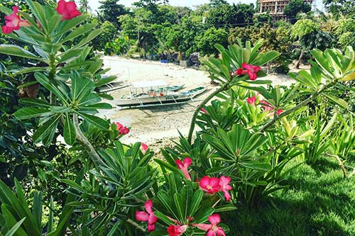 A stunning view from Amihan Restobar
