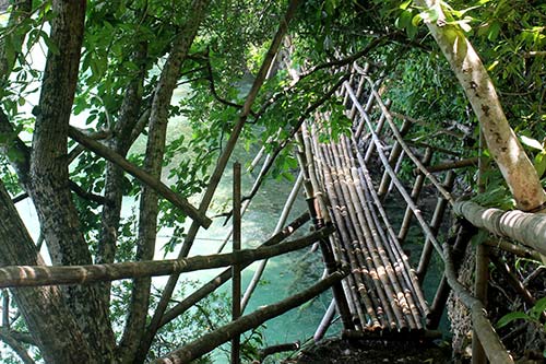 The make-shift bamboo bridge