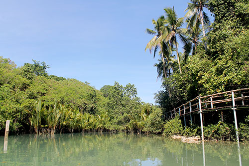 Bojo River