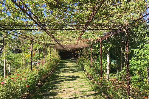 Walkway to the tourism office within The Farmhouse compund