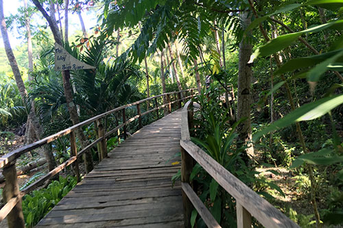 A wooden bridge to Bojo River
