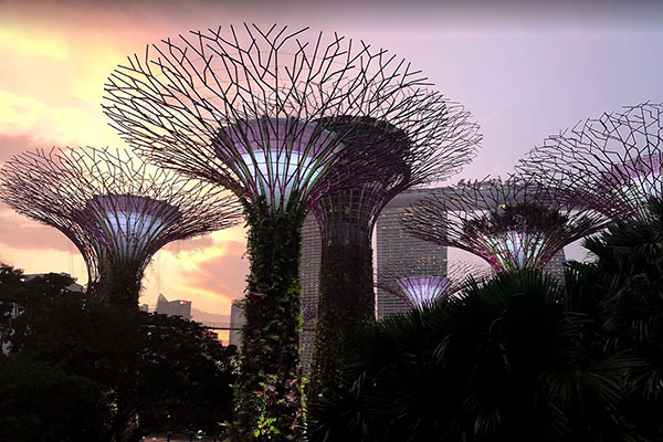 Singapore Supertree Gove