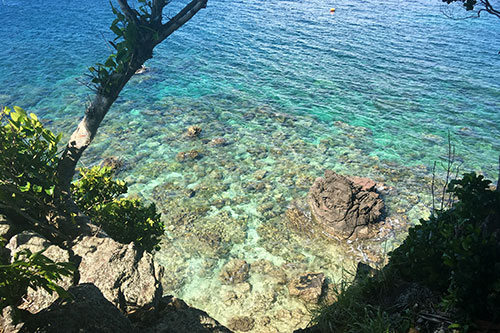 A view of Katipanan Reef from the view deck