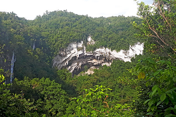 The mouth of Gobingob Cave, Southeast Asia's third largest
