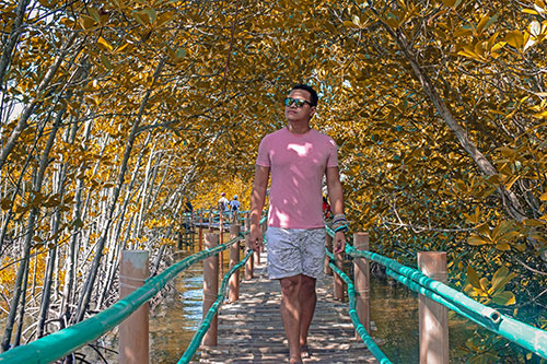 Walking though the stilt bridges of Omagieca Obo-ob Mangrove Garden