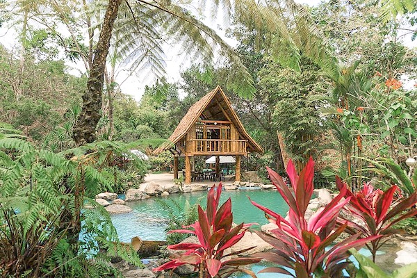 Nipa cottage and pool at Forest Camp Nature Resort