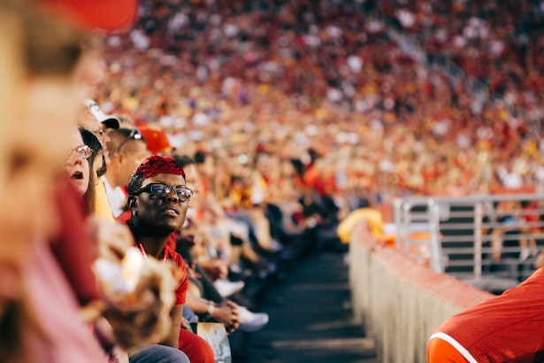 Sports fan