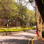 Baguio PMA
