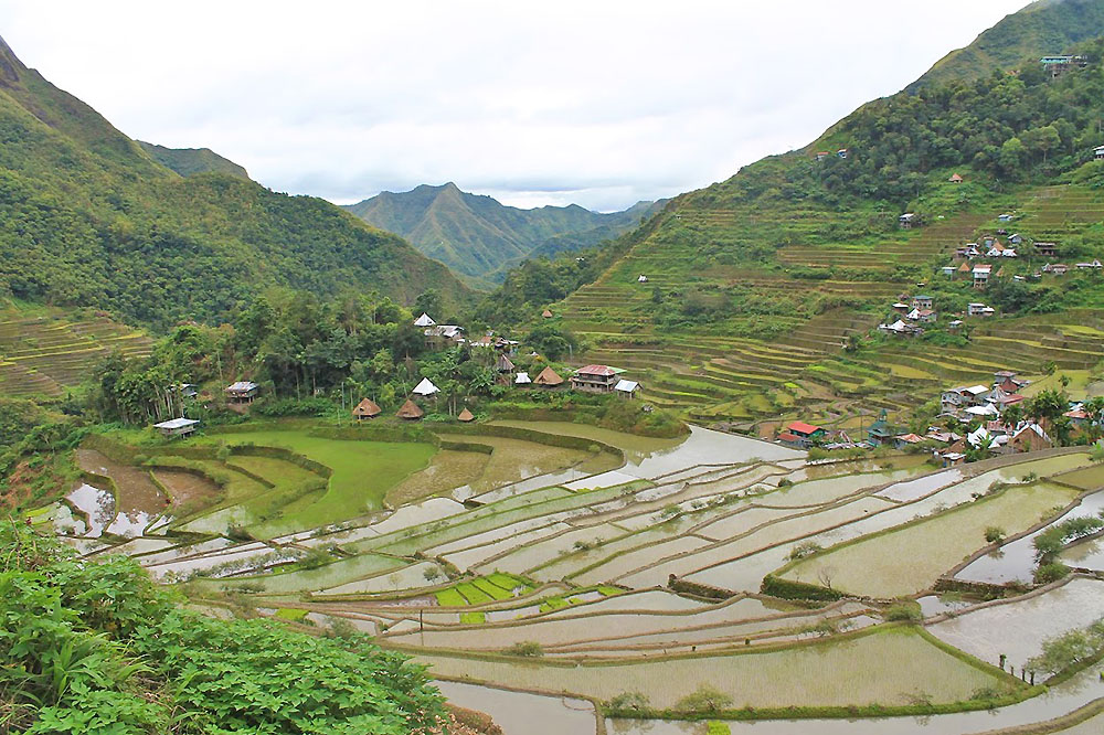 Batad rice terraces