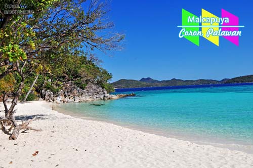 A stunning fine white sand beach in Malcapuya Island, Coron, Palawan
