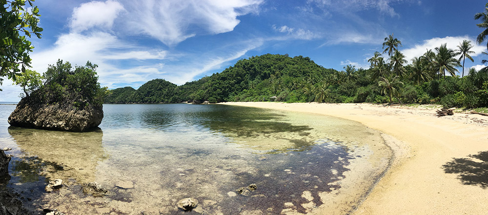 Typhoon Beach, Danjugan Island