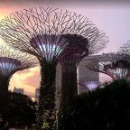 Singapore Supertree Gove