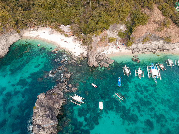 Apo Island Dive Resort