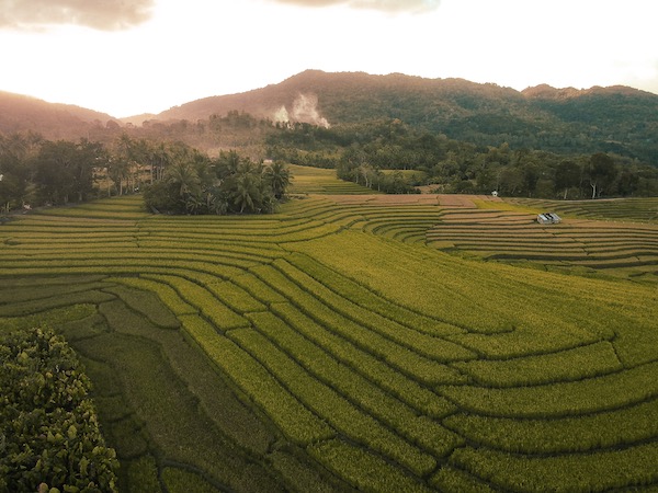 cadapdapan rice terraces