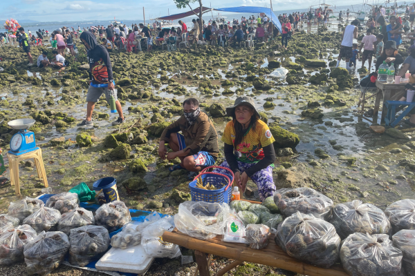 Fresh sea urchin trade in Bonbon, Catarman, Liloan. Sea urchins are sold in plastic bags for 50 pesos or in buckets for a hundred.