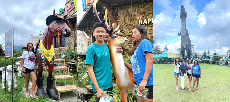 Campuestohan has a lot of animal status and figures to choose from