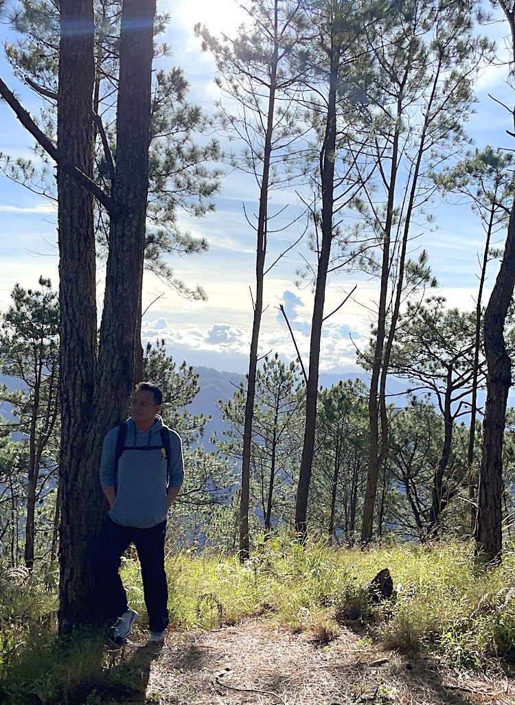 Pine trees dot the trail of Mount Ulap