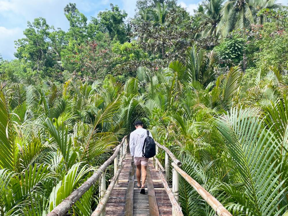 A makeshift bamboo footbridge at Bojo River Cruise