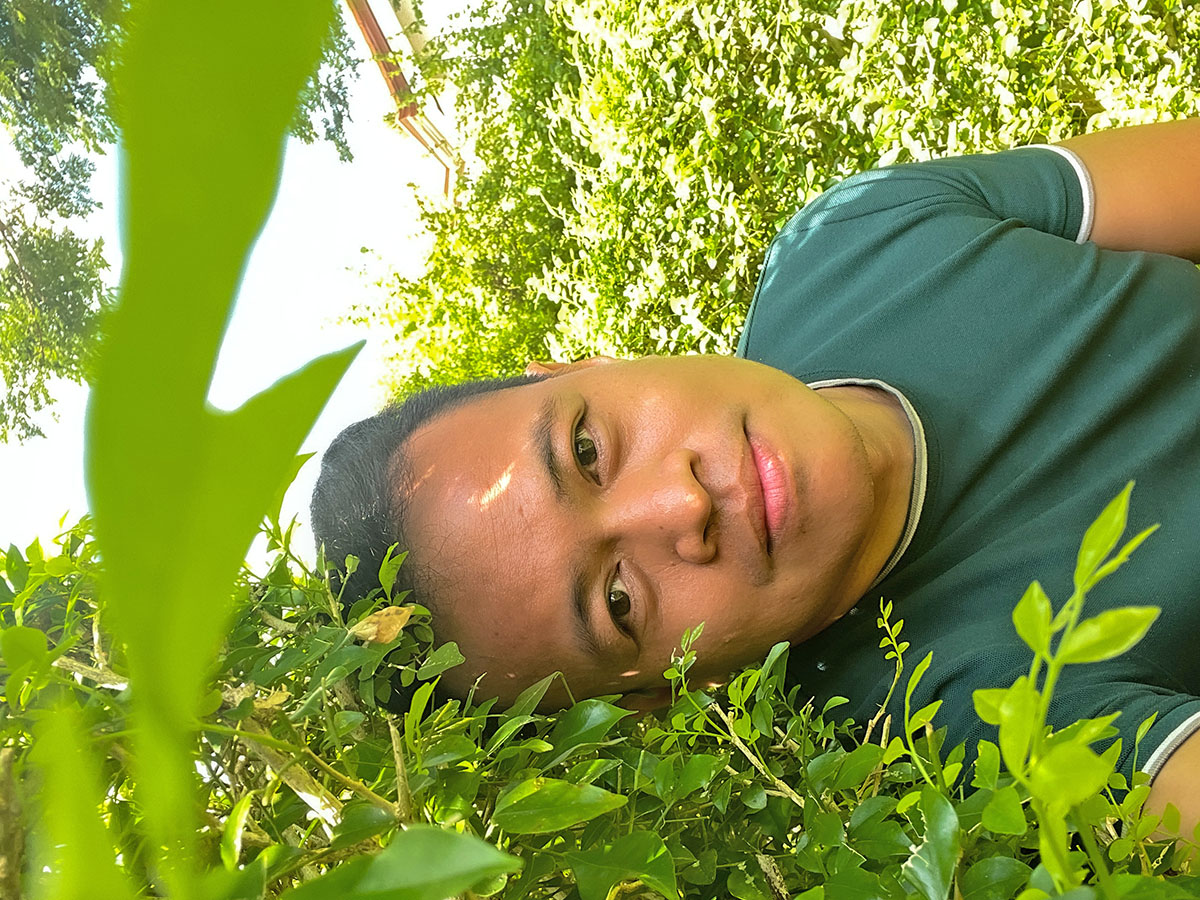 Hiding in the Labyrinth maze garden