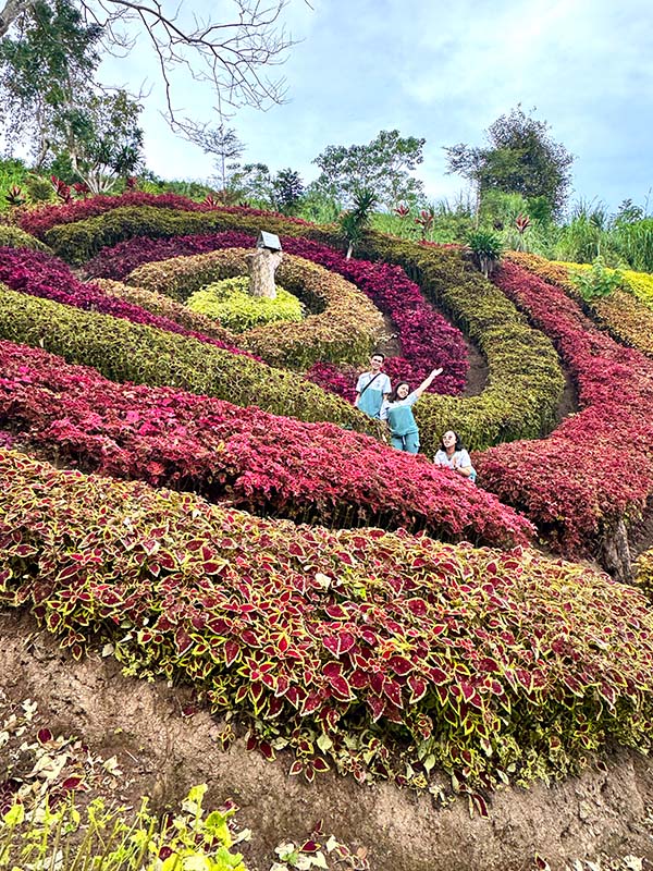 Sour Sierra's Botanical Garden