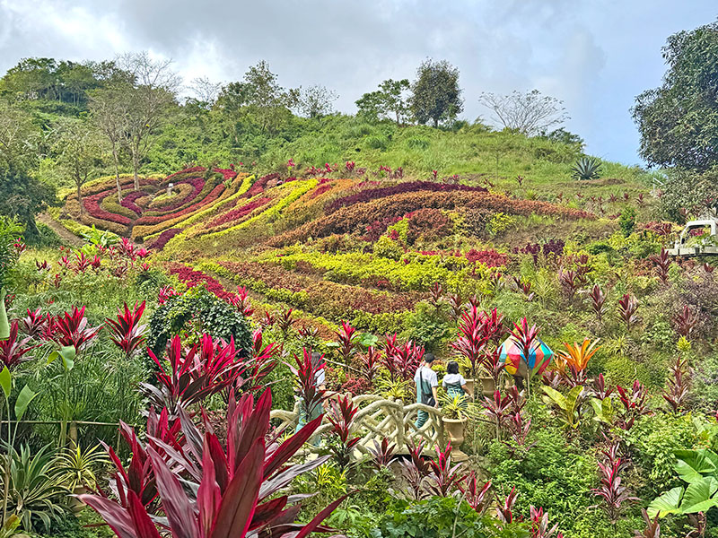 Another view of Soul Sierra's botanical garden