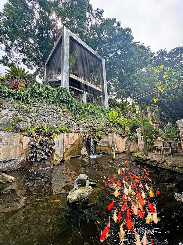 soul sierra koi pond